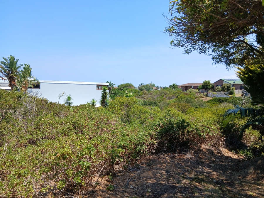 0 Bedroom Property for Sale in Noorsekloof Eastern Cape